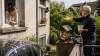 Mon Voisin Nourrit les Oiseaux : Que dit la Loi? Les Recours